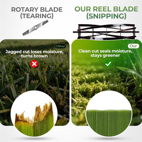 Walensee 16 Cordless Electric Reel Lawn Mower, Battery Powered Push Mower with 2×36Wh Batteries, 380W Motor 22500RPM, Precision Reel Lawn Mower for Small Yard, Garden & Golf Green