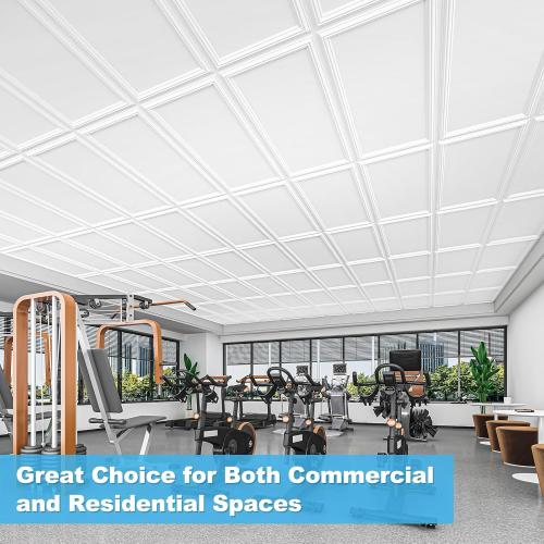 Art3d Drop Ceiling Tiles 48x24, Decorative PVC Ceiling Panels, Waterproof Rustproof and Durable 12-Pack, Glue Down, Rectangular White