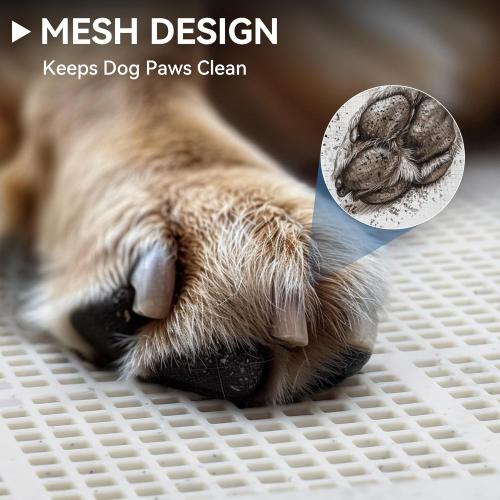 PAWISE Male Dog Pee Pad Holder with High Wall, 23.5x23.5 Indoor Potty Tray for Medium/Large Dogs, Reusable Large Training Pad Holder with Splash Guard, Includes 4 Pee Pads, Anti-Slip & Easy to Clean