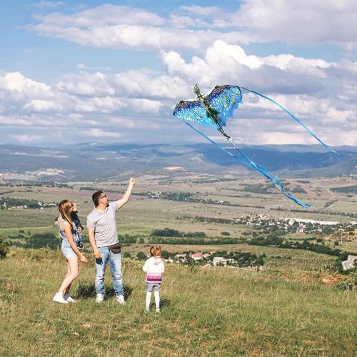 Mint's Colorful Life Dragon Kite for Kids & Adults, Easy to Fly Best Beach Kites for Beginners, 300ft Kite String Included