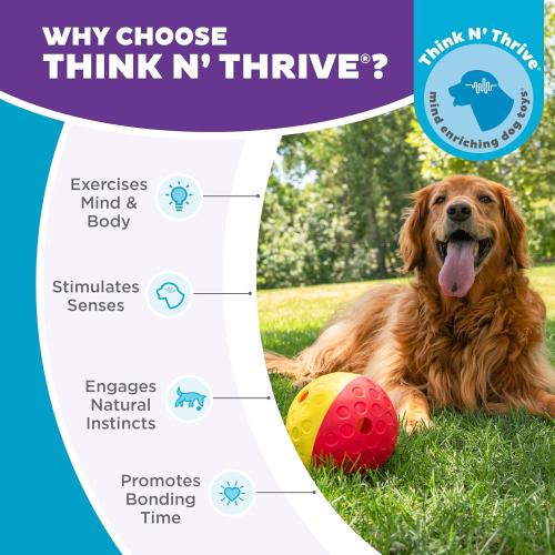 Outward Hound Nina Ottosson Treat Tumble Dog Toy Puzzle Ball,