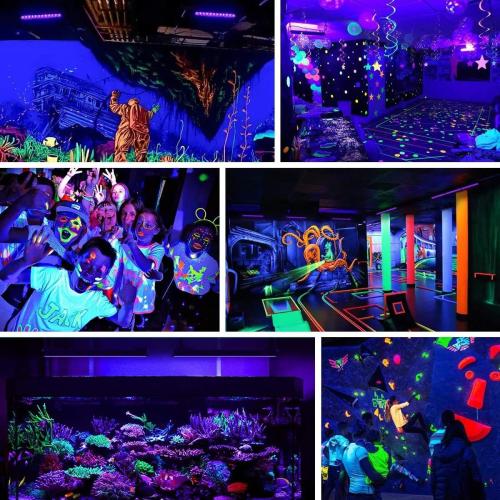 300W 4 Pack 100W LED Black Lights, Blacklight Flood Light with Plug and Switch, 120VAC IP66 Waterproof Blacklight for Halloween Party, Glow in The Dark, Stage Light, Body Paint, Neon Glow