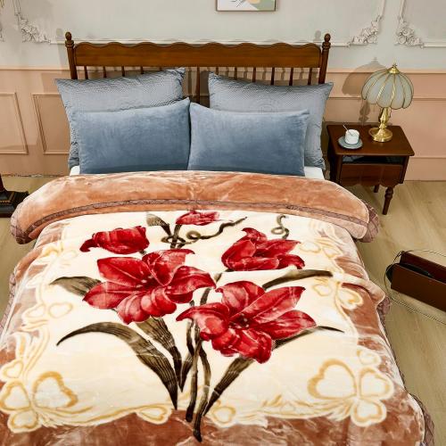 9 lbs Heavy Korean Mink Blanket,Silky Soft and Warm - Korean Style Queen Size 77 x 90, 9LB - 2 Ply Reversible Soft Warm Plush Raschel Blanket.