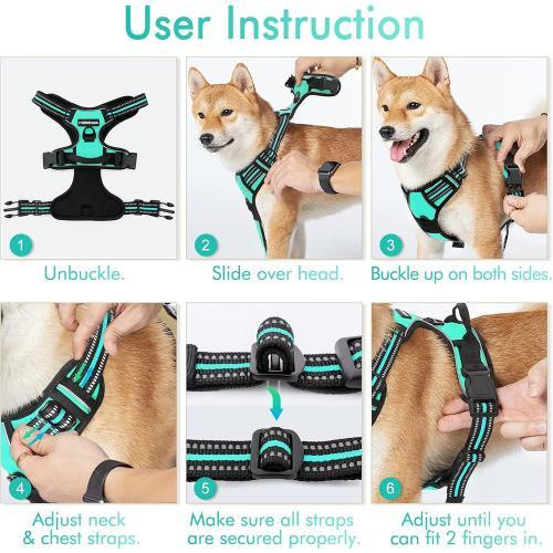 rabbitgoo Dog Harness No Pull with 2 Leash Clips, Adjustable Soft Padded, Reflective Oxford No Choke Pet Vest with Easy Control Handle for Small Dogs, Turquoise, S