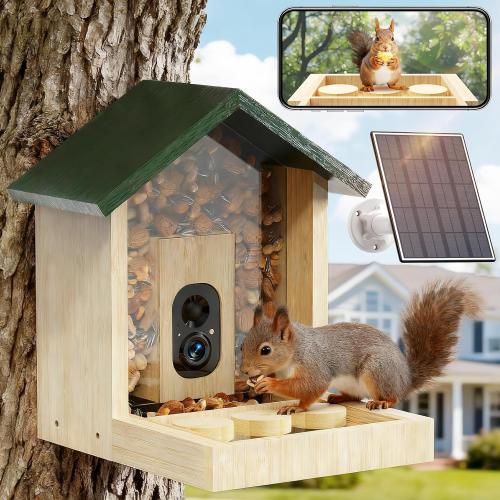 Wooden Squirrel Feeder with Camera, Solar-Powered, 2K HD  Video | Cloud Storage, Large Capacity, Ideal for Squirrel Lovers