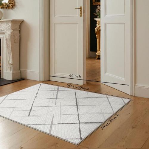 3x5 Modern Washable Area Rug, Doormat Rugs, Tear and Stain Resistance, Non-Slip, Hand Woven Style Thin Entryway Rug Throw Rug for High Traffic Entrance Kitchen Bedside- White