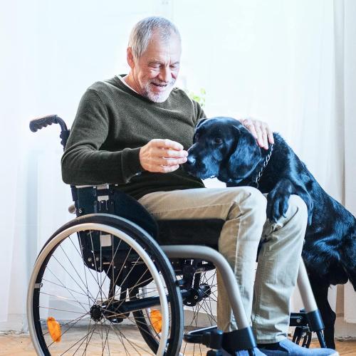AUVON Wheelchair Seat Cushions (18x16x3) for Sciatica, Back, Coccyx, Pressure Sore and Ulcer Pain Relief, Memory Foam Pressure Relief Cushion with Removable Strap, Breathable & Waterproof Fabric
