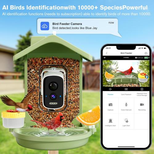 Smart Bird Feeder with Camera Solar Powered, AI Birds Species Identification, 2.5K HD Video Bird House with Camera for Outside, Weatherproof Design Ideal Gifts for Valentine's Day, Bird Lovers, Green