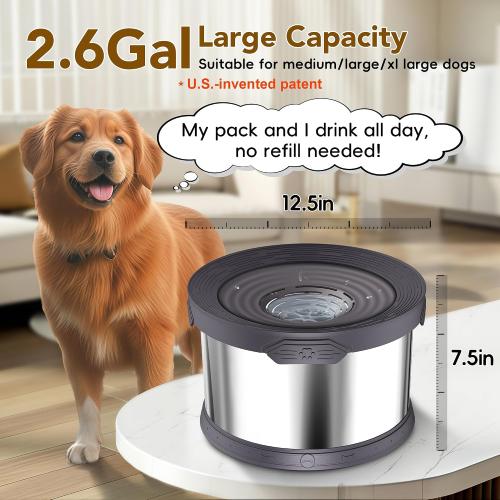 UPSKY 10L Dog Water Bowl No Spill Stainless Steel for Slow Drinking Grey