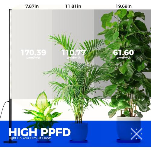 Barrina T10 Pro Standing Grow Light with Timer & Orbgrow OG09 Puck Grow Light, 5000K 36W(4 x 9W, 540 Watt Equiv)