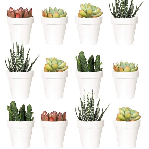 White 2 Pack of 24 Youngever 24 Pack 2 Inch Mini Plastic Planters, Indoor Flower Plant Pots, White Gardening Pot with Drainage - NO Plant Included