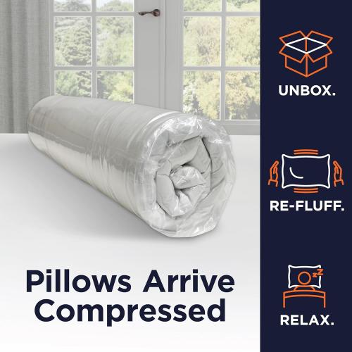 Amazon Basics Square Hypoallergenic Pillow Insert, Down Alternative Fiberfill, Sofa Bed Couch Decorative Stuffer, 18, 2-Pack