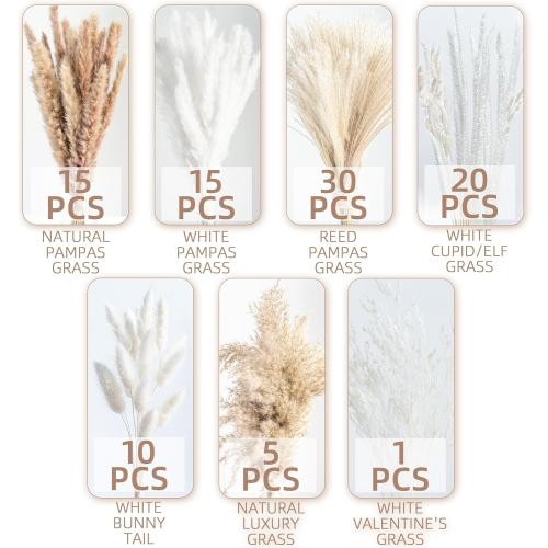 96PCS Natural Dried Pampas Grass Boho Home Decor Bouquet Phragmites Dried Flowers Bouquet for Wedding Floral Arrangements Living Room Decorations (96PCS)