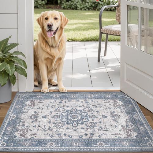 LUMI Retro Thin Door Mat, 18x30 Washable Indoor Doormat, Non Slip Absorbent Entrance Rug, Welcome Mats Entryway Rug Doormats for Front Door Kitchen Patio, Mist Blue