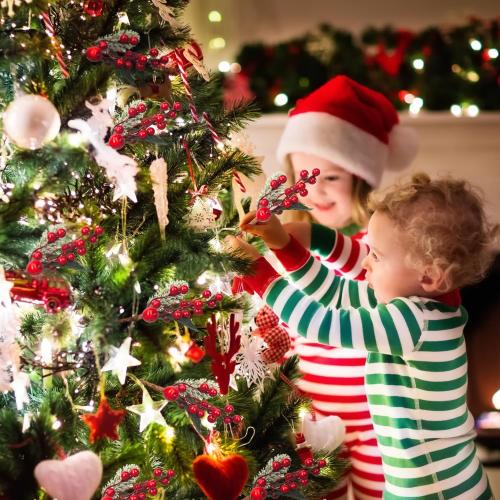 10 Pack Christmas Artificial Berry Twigs for Tree Decoration, DIY Red Berry Stems for Crafts Wreath Garland Ornaments Decor