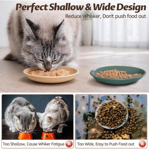 WROSWT Colorful Cat Food Bowl,Non-Slip Silicone Bottom Cat Bowls for Indoor Cats,Anti Whisker Fatigue Cats Dishes Set,Shallow Wide Kitten Plates for Food and Water,4 Pack