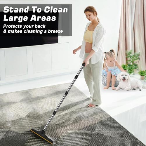 B-Land Carpet Rake for Pet Hair Removal, Reusable Carpet Scraper Broom