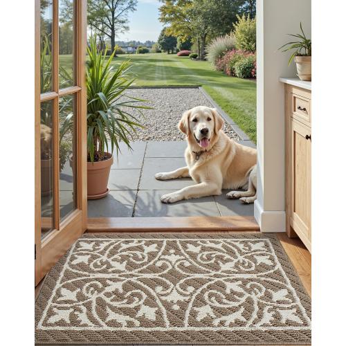 DEXI Front Door Mat Entryway, Inside Welcome Entrance Doormat Low Profile Thin, Non Slip Washable Entry Mats for House Floor Dirt Trapper, 24x36, Brown