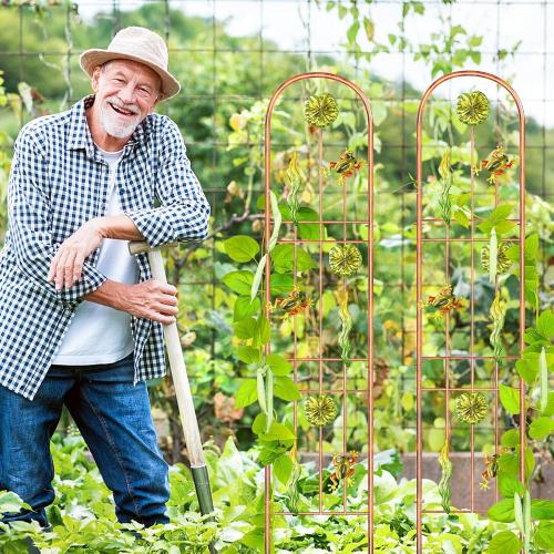 2Pcs Metal Garden Trellis, Arched Fence Trellis Plant Support Trellises, Supporting Plants Outdoor Decoration for Climbing Plants Lawn Yard Patio Backyard Wall Brackets (Frog)