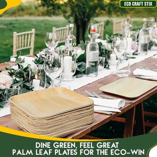 Eco Craft Stix 10 inch Square Palm Leaf Plates. Eco Friendly Dinnerware. Pack of 80  Plates. Eco-Friendly and Compostable Palm Plates. Sturdy and Durable