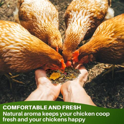 RAINFLOW Chicken Nesting Herbs - 10oz Natural Dried Herb Blend for Coop Comfort,Egg Laying Hens,and Cozy Roosting,Nesting Box Pads and Winter Insulation,Bedding Supplies for Chicks