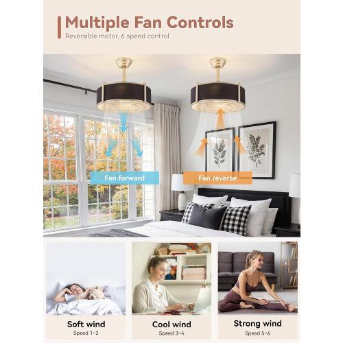 20 inch Fandelier Ceiling Fan with Light, Boho Chandelier Ceiling Fan with Light Remote Control, Caged Enclosed with 6 Speeds for Bedroom, Living Room, Foyer, Nursery