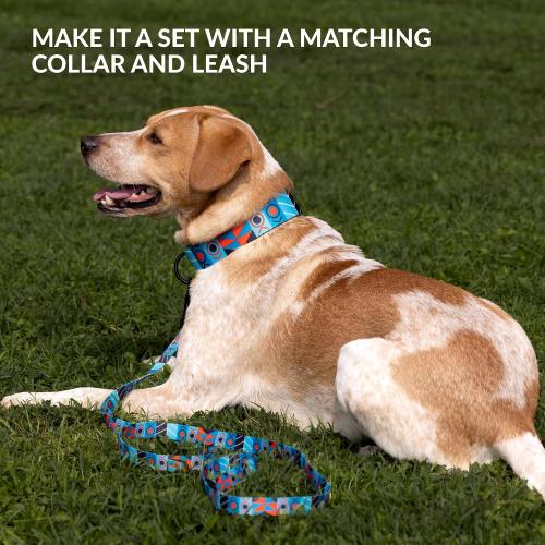 CollarDirect Dog Muzzle - Updated Design Adjustable Soft Breathable Tribal Nylon Dog Mouth Guard Cover for Small, Medium and Large Dogs, Anti Chewing, Barking & Biting (S, Pattern 1)