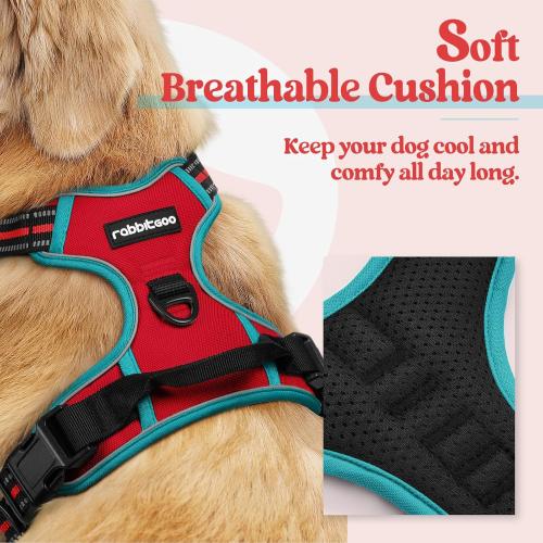 Size L rabbitgoo Dog Harness No Pull with 2 Leash Clips, Adjustable Soft Padded, Reflective Oxford No Choke Pet Vest with Easy Control Handle for Medium Sized Dogs, Red & Teal