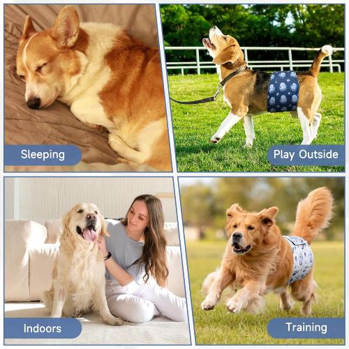 5 Pack Dog Diapers Male, High Absorbing Dog Wraps, Belly Bands for Male Dogs with Incontinence or Frequent Urination, Washable Doggie Diapers Fish L
