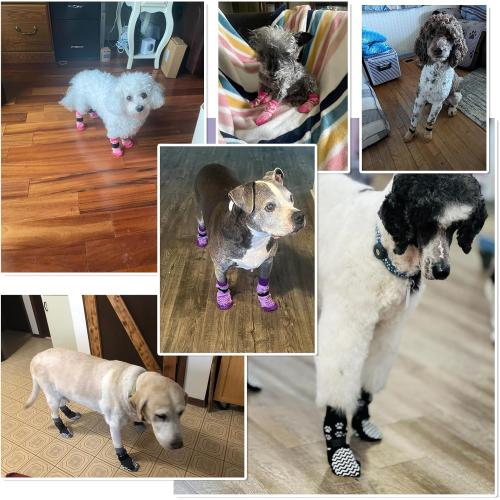 EXPAWLORER 6Pcs Anti Slip Dog Socks to Prevent Licking Paws, Dog Shoes for Hot Pavement, Double Sides Dog Boots & Paw Protectors Booties for Hardwood Floors with Grippers Small Medium Large Senior Dog