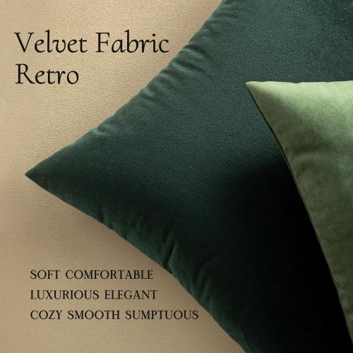 MIULEE Pack of 2 Velvet Pillow Covers Decorative Lumbar Rectangle Pillowcase Soft Solid Cushion Case for Sofa Couch Bedroom Car 12x12 Inch Army Green