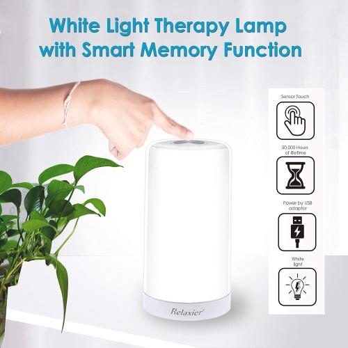 Light Therapy Lamp, 10,000 LUX UV-Free 360-Degrees Sunlight Lamp, Happy Lamp, Mood Light With Touch Control - 1802F