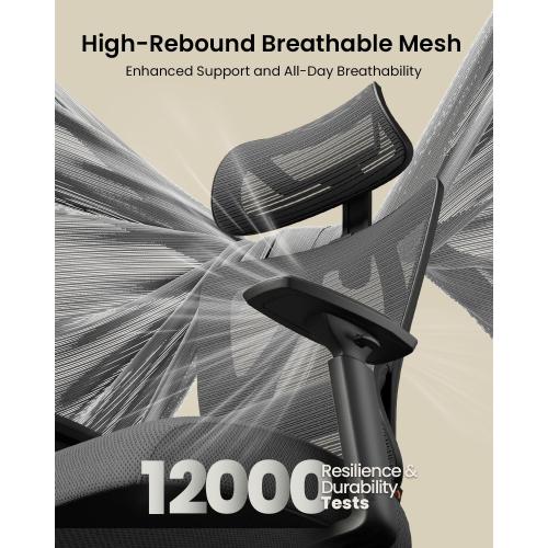 ProtoArc Ergonomic Office Chair for Home Office, High Back Desk Chair with Thick Spring Cushion, Adjustable Headrest, Armrests, Big and Tall Mesh Computer Chairs for Long Hours Sitting, EC100 - Black