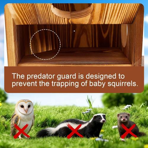 2in1 Large Squirrel Family House with Feeder and Predator Guard for Outside with Multi Platform Wooden Squirrel Nesting Box for Breeding Living, Year-Round Shelter and Nesting Place