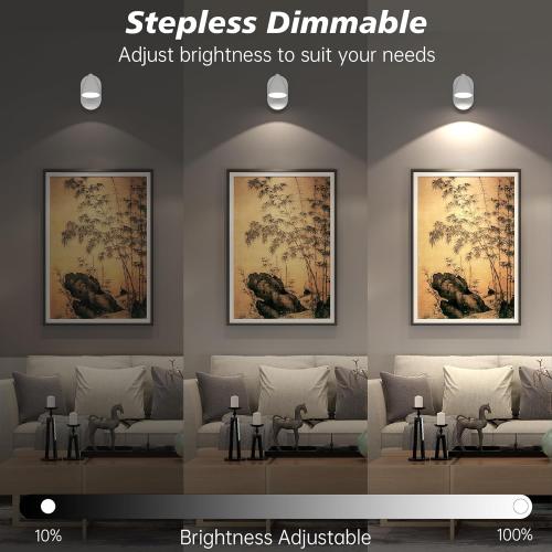 Color White Rechargeable LED Spotlight Indoor,Wireless Picture Spot Lights for Wall Paintings Battery Operated,Accent Artwork Lighting with Remote,Dimmable,Color Temperature Adjustable,White