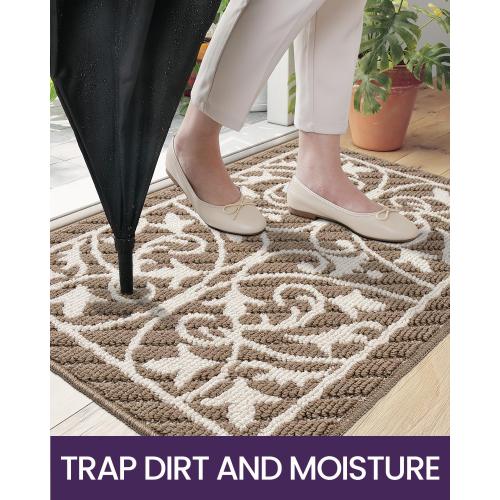 DEXI Front Door Mat Entryway, Inside Welcome Entrance Doormat Low Profile Thin, Non Slip Washable Entry Mats for House Floor Dirt Trapper, 24x36, Brown