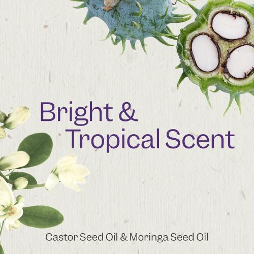 Renpure Castor Oil & Moringa Shampoo and Conditioner Set, Plant-Based*, Curl Enhancing, Moisturized, Manageable & Frizz-Free Curls -Castor & Moringa Seed Oil - Wavy to Curly Hair-24 Fl Oz each, 2 Pack