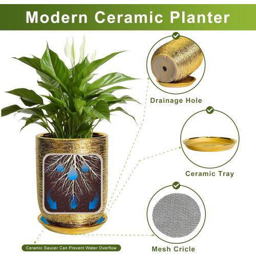 Ceramic Pots for Plants 12 Inch - Ceramic Planter for Indoor Outdoor Flowers, Cylinder Modern Flower Pot with Drainage Hole and Saucer, Patio Home Decor, Gifts for Plants Lovers, Gold