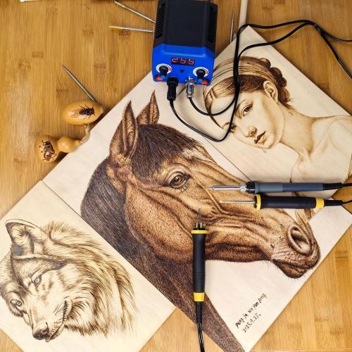 LH55-3-3 Wood Burner kit Wood Burning Tool Pen 200~750℃, Wood Burning kit with Digital Thermometer Temperature Adjustable Temperature 3 pyrographic Wood Burning pens 37 Wood Burning Pen Tips