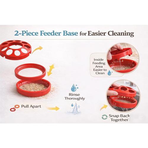 Baby Chick Feeder and Waterer Set, 1 Quart Poultry Starter Kit
