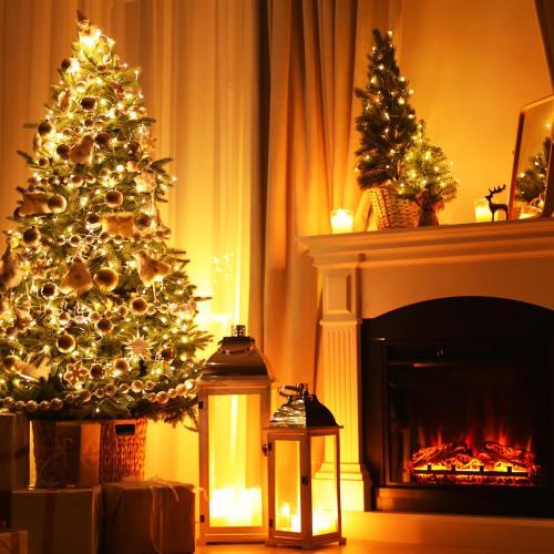 Mini Christmas Lights String Warm White Vintage Short Strand String Lights, Clear Bulbs Wire Fit Light up Christmas Decorations(20 Bulbs Connectable,5ft,Green)