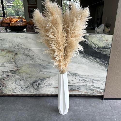 55 inch Scarcity Natural Pampas Grass Decor Tall, pompas Grass, Tall Pampas Grass for Wedding, Party, Farmhouse, Boho Home Decor