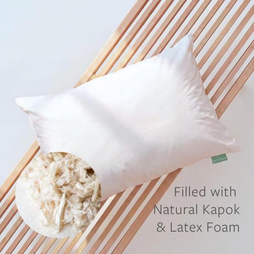 Avocado Organic Cotton Pillow, GOLS-Certified Organic Latex Fill, Standard