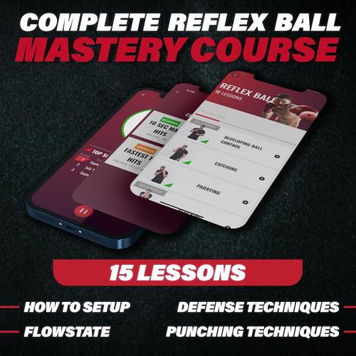 Champs MMA Boxing Reflex Ball Set with Punch Counter App – Hand-Eye Coordination & Speed Training Kit