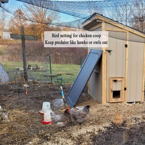 Bird Netting for Chicken Coop 50x100 Ft, 1 Mesh, Strong Woven Poultry Netting Roof Cover for Chicken Run, Heavy Duty Bird Net for Fruit Trees, Blueberry, Vegetables, Garden Protection