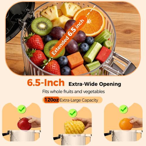 Juicer Machines with 6.5 Large Chute,4-in-1 Cold Press Juicer for Whole Vegetables Fruits,AC Motor,120oz Large Capacity, Makes Juice,Nut Milk & Sorbet,Premium Gray,Easy to Clean.(Advanced Space Gray)