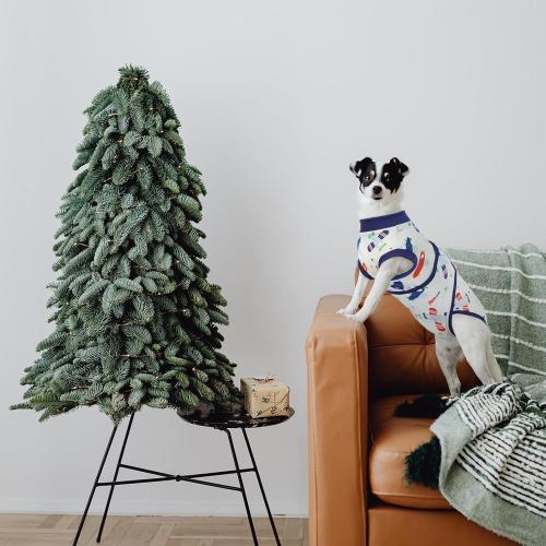 Size Small Kuoser Recovery Suit for Dogs Cats After Surgery, Professional Pet Recovery Shirt Dog Abdominal Wounds Bandages, Substitute E-Collar & Cone,Prevent Licking Dog Onesies Pet Surgery Recovery Suit