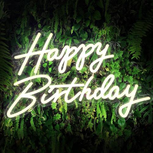 Happy Birthday Sign, Neon Signs Large Size 22.5x14inch Light Up Led Signs for Backdrop with Dimmer Switch 10 Adjustable Brightness Reusable Happy Birthday Neon Sign for Birthday Party (Warm White)