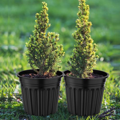 3 Gallon Planter Nursery Pots, Seed Starting Pot Plastic Flower Seedling Pots with Drainage Holes Flexible Plant Container for Garden Lawn Yard Plants Seedlings ( 3 Gallon)