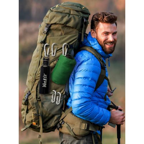 Silver Carabiner Clip 5 Pack - Multipurpose Heavy Duty Snap Hooks - Small and Large Clips for Keys - Carribeaner Hook